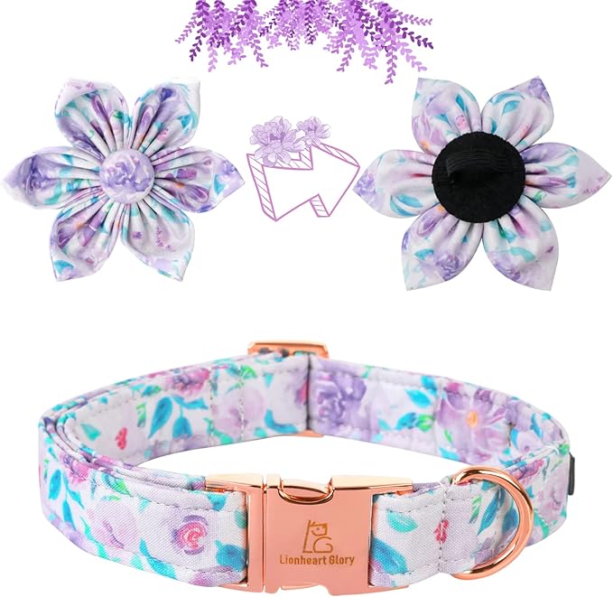 Lionheart Glory Purple Dog Collar With Flower - Cute Floral Pattern Adjustable Pet Collar for Small Dogs