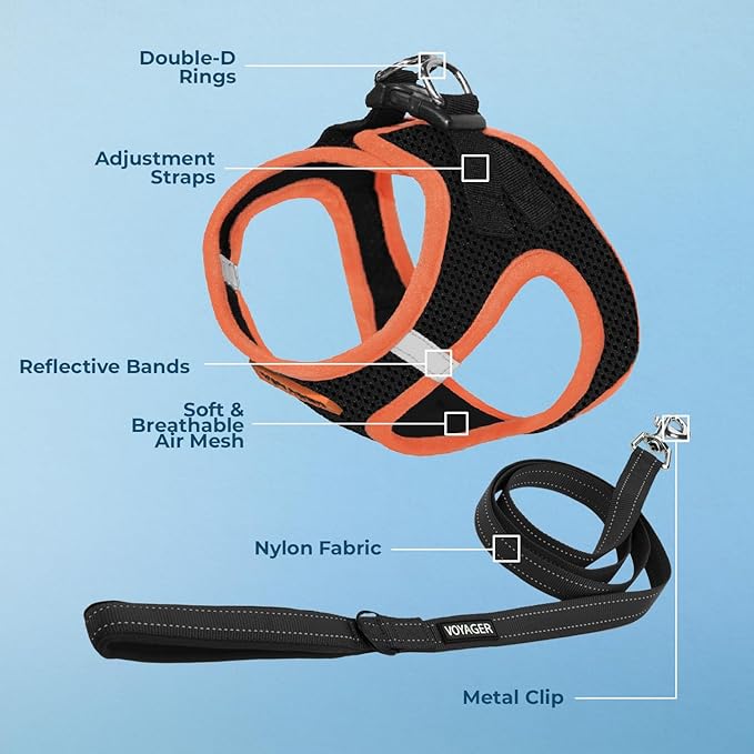 Best Pet Supplies Voyager Step-in Air All Weather Mesh Harness and Reflective Dog 5 ft Leash Combo with Neoprene Handle, for Small, Medium and Large Breed Puppies - Black/Orange Trim, Medium