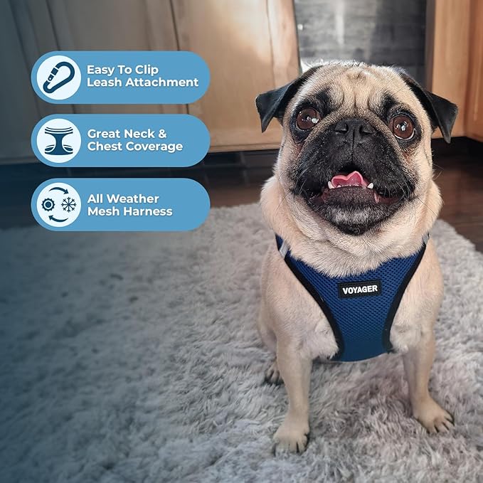 Best Pet Supplies Voyager Step-in Air All Weather Mesh Harness and Reflective Dog 5 ft Leash Combo with Neoprene Handle, for Small, Medium and Large Breed Puppies - Blue/Black Trim, XX-Small