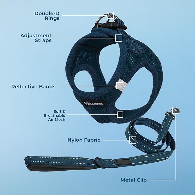 Best Pet Supplies Voyager Step-in Air All Weather Mesh Harness and Reflective Dog 5 ft Leash Combo with Neoprene Handle, for Small, Medium and Large Breed Puppies - Harness Leash Set (Blue), M