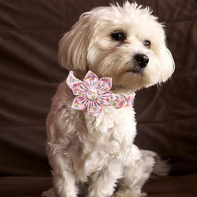 Lionheart glory Dog Collar Flower Collar Pink Dog Collar with Flower Spring Summer Cute Collar Dog Female Soft Durable Adjustable Dog Collars for Large Dogs