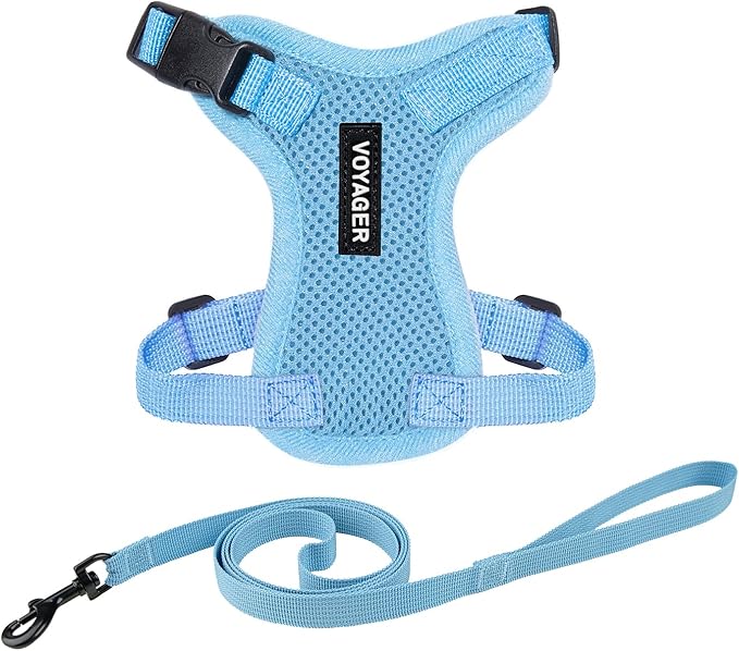 Voyager Escape-Proof Step-in Lock Cat Harness & 5ft Neoprene-Handle Leash Set All-Weather Mesh with Reflective Stitching for Small to Large Cats by Best Pet Supplies, Baby Blue, XXS