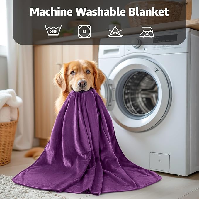 LOOBANI Waterproof Blanket for Bed: Reversible Soft Flannel Twin Bed Blanket 60" x 80", Leakproof Throw Spill-Proof Dog Pet Blanket for Couch, Sofa Protect, Movie Time, Camping, Travel, Purple