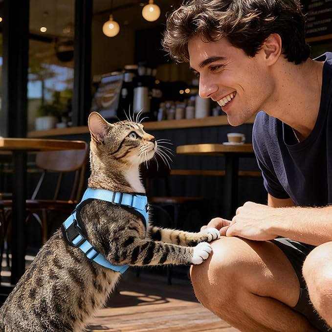 Dooradar Cat Harness and Leash Set, Escape Proof Safe Adjustable Kitten Vest Harnesses for Walking, Easy Control Soft Breathable Mesh Jacket with Reflective Strips for Cats, Light Blue, XXS