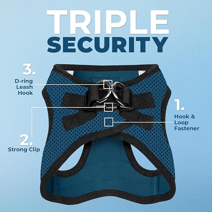Best Pet Supplies Voyager Step-in Air All Weather Mesh Harness and Reflective Dog 5 ft Leash Combo with Neoprene Handle, for Small, Medium and Large Breed Puppies - Blue/Black Trim, XX-Small