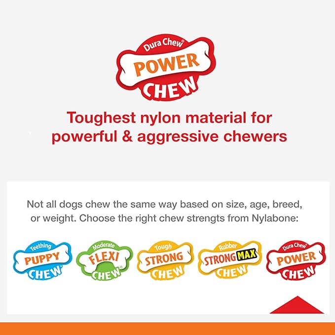 Nylabone Power Chew Ring Bone Chew Toy, Dog Toys for Aggressive Chewers, Flavor Medley, X-Small - Up to 15 lbs. (Pack of 2)