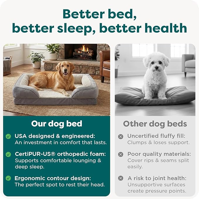 Furhaven Memory Foam Dog Bed for Medium/Small Dogs w/ Removable Bolsters & Washable Cover, For Dogs Up to 35 lbs - Plush & Velvet Waves Perfect Comfort Sofa - Celadon Green, Medium