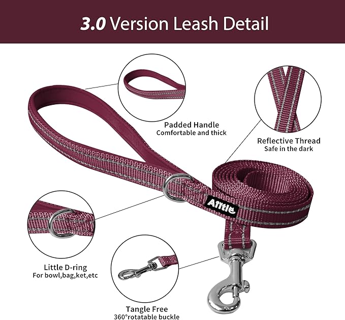AIITLE Small Harness for Puppy with A Leash - Christmas Dog Vest Harness with Super Breathable Mesh, Reflective No-Pull Pet Harness for Outdoor Walking, Running for Small Dogs, Cats Burgundy XXS