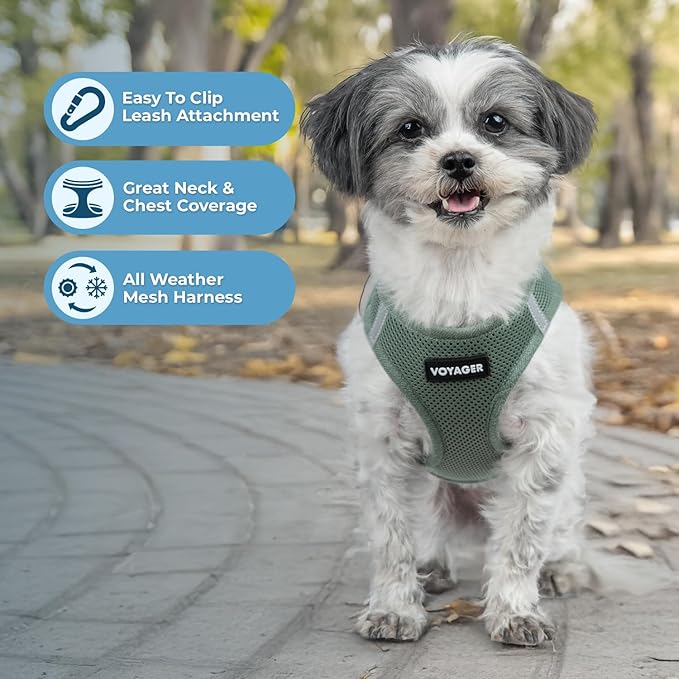 Best Pet Supplies Voyager Step-in Air Harness - All Weather Mesh, Reflective, No Pull Harness for Dogs, Cats - Secure with Hook & Loop Fastener, Buckle, Double D-Rings - Moss Green, XXXS
