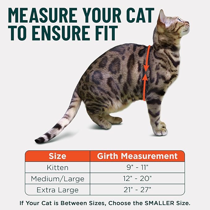 Houdini™ Escape Proof Kitten Harness and Leash Set by OutdoorBengal – Turquoise, Small Cat Harness for Walking