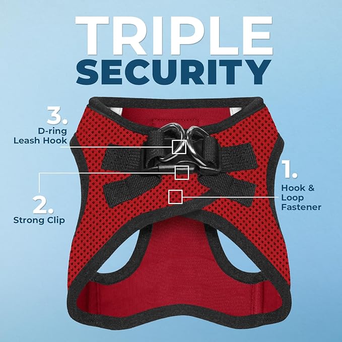 Best Pet Supplies Voyager Step-in Air All Weather Mesh Harness and Reflective Dog 5 ft Leash Combo with Neoprene Handle, for Small, Medium and Large Breed Puppies - Red/Black Trim, Large