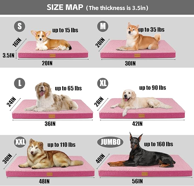 Patas Lague Orthopedic Dog Bed Large Sized Dog 36''X24'',Soft Waterproof Egg Crate Foam Medium Pet Crate Beds Mat with Removable Washable Cover and Non-Slip Bottom, Hot Pink