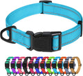 TagME Dog Collars, Adjustable Reflective Nylon Pet Collar with Quick Release Buckle for Medium Dogs, Sky Blue, 1.0" Width