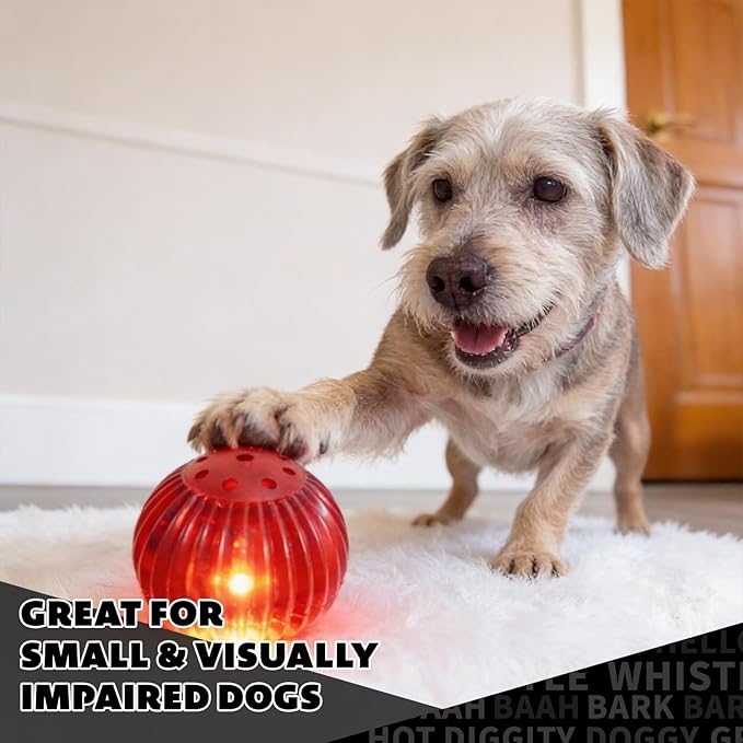Pet Qwerks Blinky Babble Ball - Flashing Interactive Chew Dog Toy - Medium