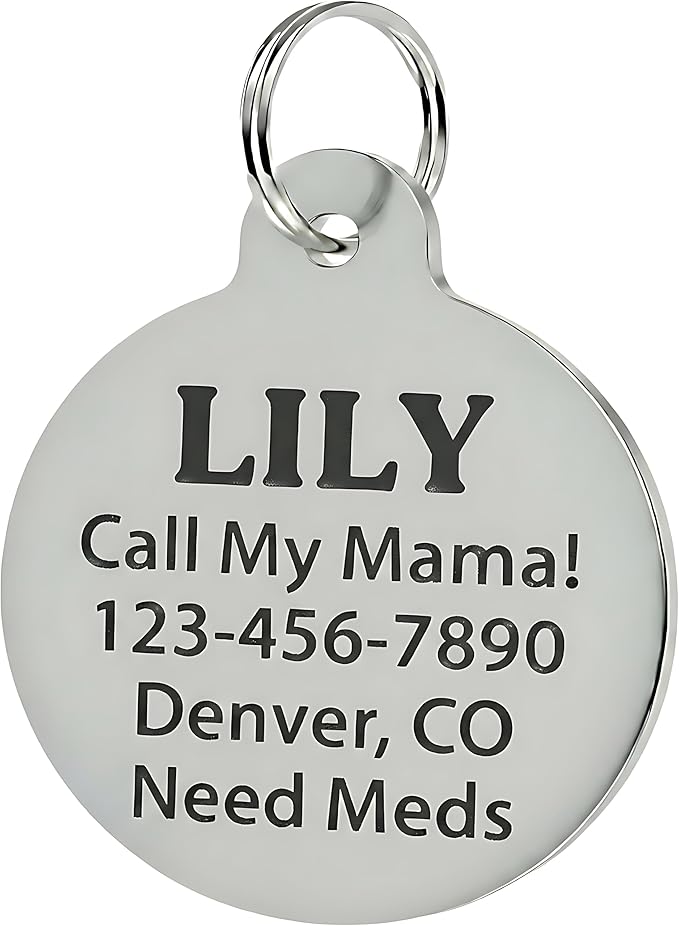 Bad Tags Personalized Dog and Cat ID Tags in 25+ Designs and 2 Sizes - 5 Lines of Custom Engraved Text - Funny Cute Personalized Pet Tags (Invader of Personal Space - Green, Small (1 inch))