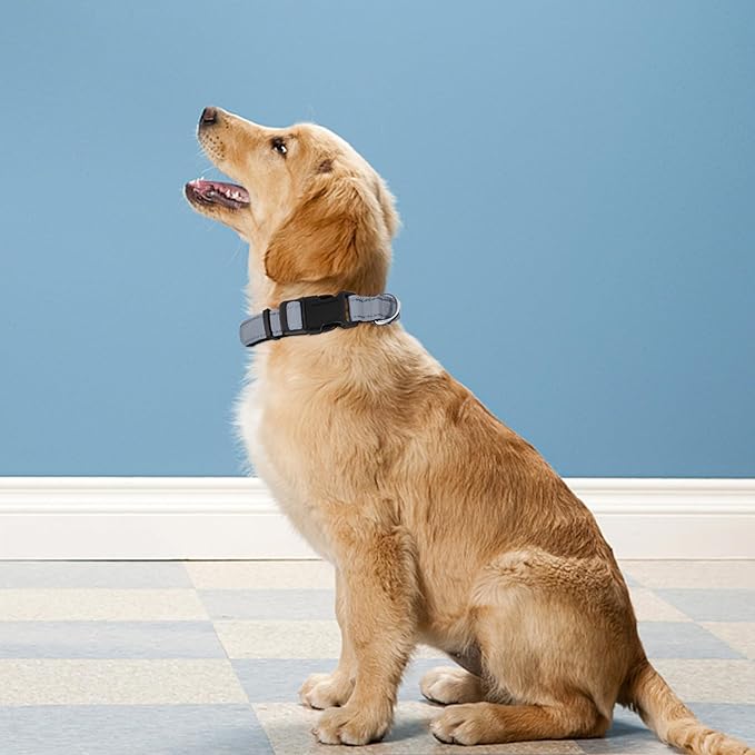 Reflective Dog Collar, Adjustable Soft Neoprene Padded Nylon Pet Collars with Buckle for Medium Dogs, Gray,M