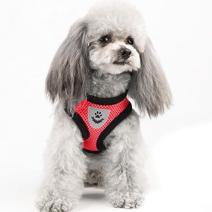 shudyear Summer cat Chest Harness and Leash, Anti-Escape Adjustable Soft mesh cat Leash and Chest Harness Set for All Types of Cats cat Vests (Size S,Red)