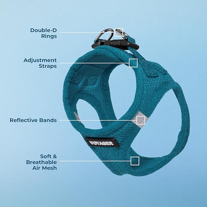 Best Pet Supplies Voyager Step-in Air Harness - All Weather Mesh, Reflective, No Pull Harness for Dogs, Cats - Secure with Hook & Loop Fastener, Buckle, Double D-Rings - Turquoise, XL