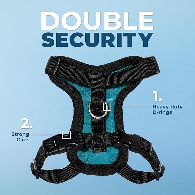 Voyager Escape-Proof Step-in Lock Cat Harness & 5ft Neoprene-Handle Leash Set All-Weather Mesh with Reflective Stitching for Small to Large Cats by Best Pet Supplies, Turquoise/Black Trim, XXXS