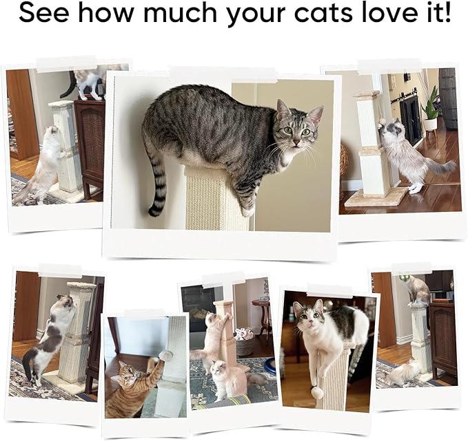 AGYM Cat Scratching Post, 32 Inch Cat Scratching Posts for Large Cats, Scratching Posts for Indoor Cats Adults, Cat Scratch Post with Nature Sisal, Light Gray