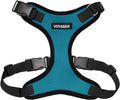 Voyager Step-in Pet Harness - All Weather Mesh, Adjustable Step in Harness for Cats and Dogs by Best Pet Supplies - Turquoise/Black Trim, XL