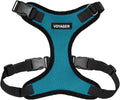 Voyager Step-in Pet Harness - All Weather Mesh, Adjustable Step in Harness for Cats and Dogs by Best Pet Supplies - Turquoise/Black Trim, M