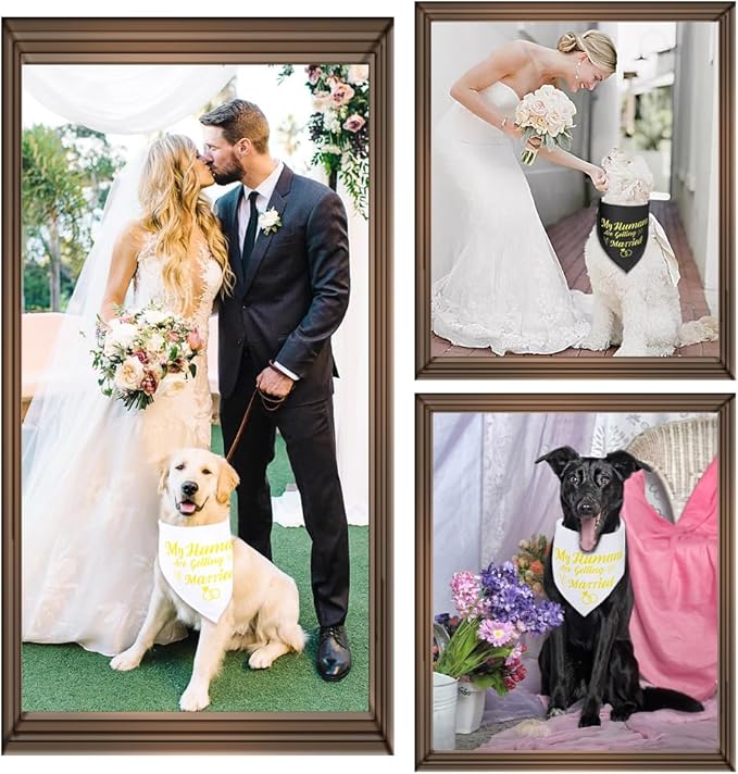 SZEE Wedding Decorations for Pets, 2 Pack My Humans are Getting Married Dog Bandanas, Engagement Party Decorations, Wedding or Engagement Gift for Couples, Dog Wedding Bandanas (Gold, L)