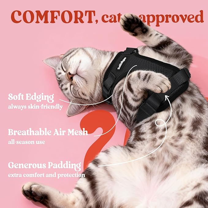 rabbitgoo Cat Harness and Leash for Walking, Escape Proof Soft Adjustable Vest Harnesses for Cats, Easy Control Breathable Reflective Strips Jacket, Black, S