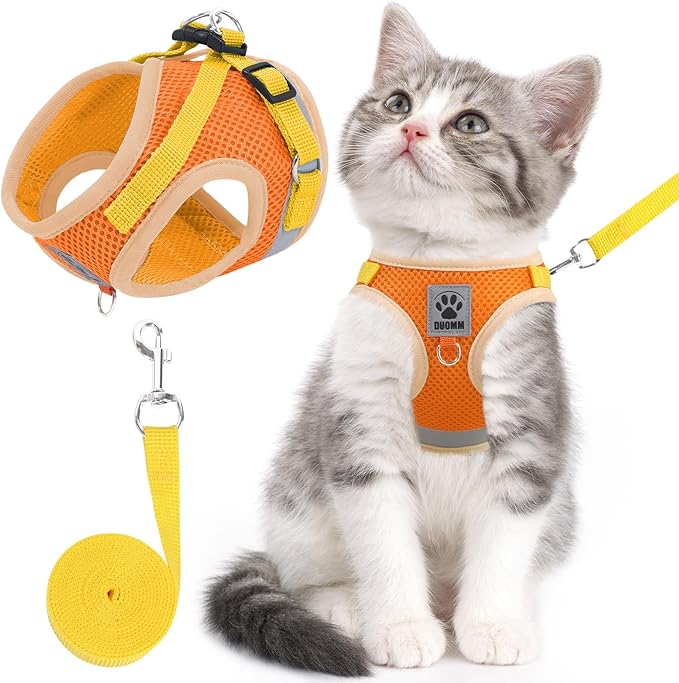 Cat & Dog Vest Harness - All Weather Mesh, Reflective Strap, Step-in Adjustable for Small Cats & Dogs (Orange, Small)