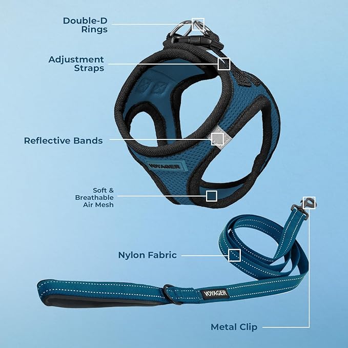Best Pet Supplies Voyager Step-in Air All Weather Mesh Harness and Reflective Dog 5 ft Leash Combo with Neoprene Handle, for Small, Medium and Large Breed Puppies - Blue/Black Trim, Small