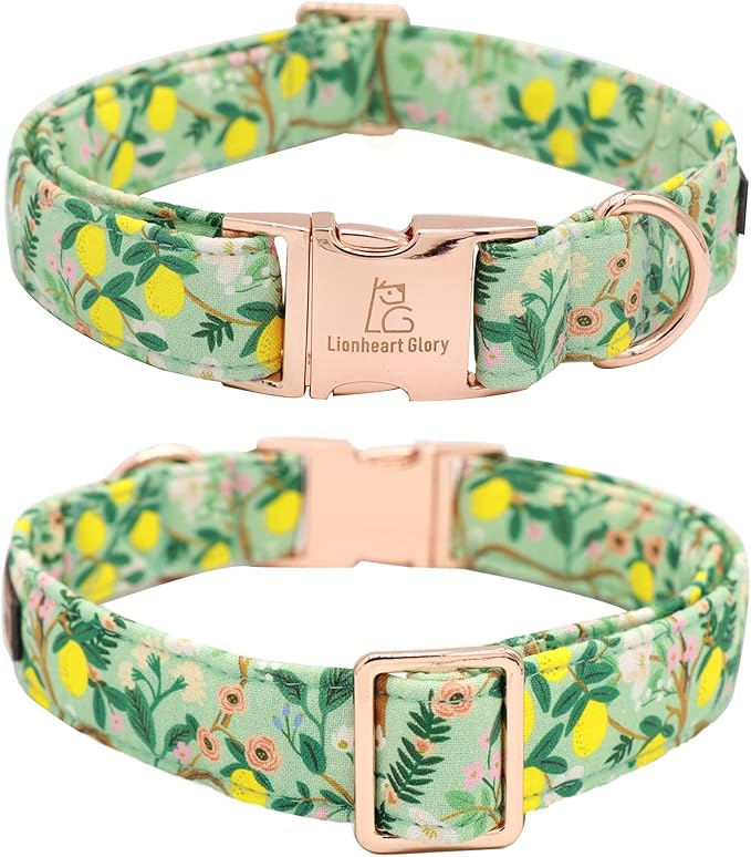 Lionheart Glory Cute Lemon Floral Pattern Adjustable Dog Collar for X-Large Dogs
