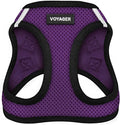 Best Pet Supplies Voyager Step-in Air Harness - All Weather Mesh, Reflective, No Pull Harness for Dogs, Cats - Secure with Hook & Loop Fastener, Buckle, Double D-Rings - Purple/Black Trim, S