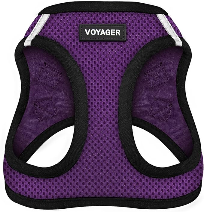 Best Pet Supplies Voyager Step-in Air Harness - All Weather Mesh, Reflective, No Pull Harness for Dogs, Cats - Secure with Hook & Loop Fastener, Buckle, Double D-Rings - Purple/Black Trim, S