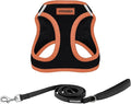 Best Pet Supplies Voyager Step-in Air All Weather Mesh Harness and Reflective Dog 5 ft Leash Combo with Neoprene Handle, for Small, Medium and Large Breed Puppies - Black/Orange Trim, X-Small
