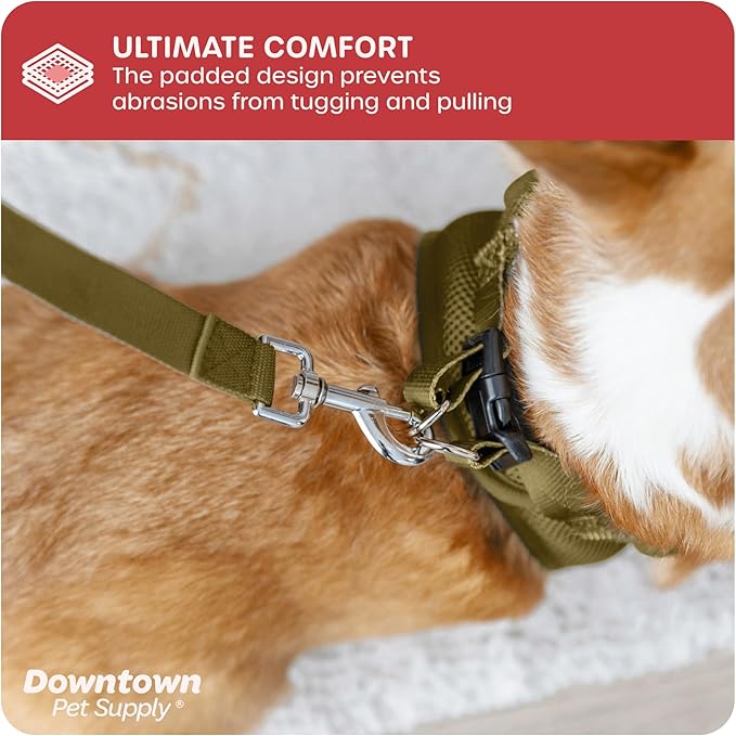 Downtown Pet Supply Step in Dog Harness for Small Dogs No Pull, Medium, Hunter Green - Adjustable Harness with Padded Mesh Fabric and Reflective Trim - Buckle Strap Harness for Dogs