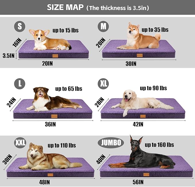Patas Lague Orthopedic XL Dog Bed Large Sized Dog 42''X28'', Soft Waterproof Egg Crate Foam Large Pet Crate Beds Mat with Removable Washable Cover and Non-Slip Bottom, Purple