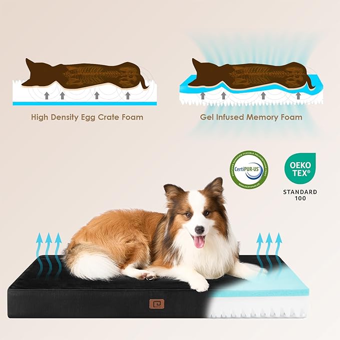 EHEYCIGA Waterproof Dog Bed Orthopedic 30"x20", Memory Foam Pet Bed for Medium Dogs, Washable Pet Mat with Removable Cover, Black