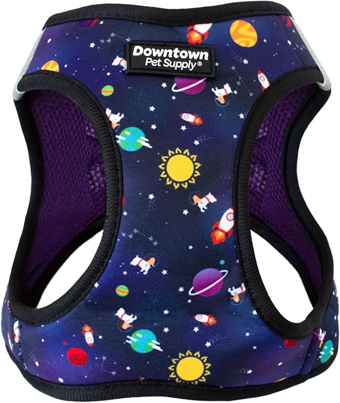 Downtown Pet Supply Step-in Dog Harness – No Pull, Adjustable Padded Mesh with Reflective Trim, Secure Buckle Strap – Comfortable & Breathable Small Dog Harness, Small, Space
