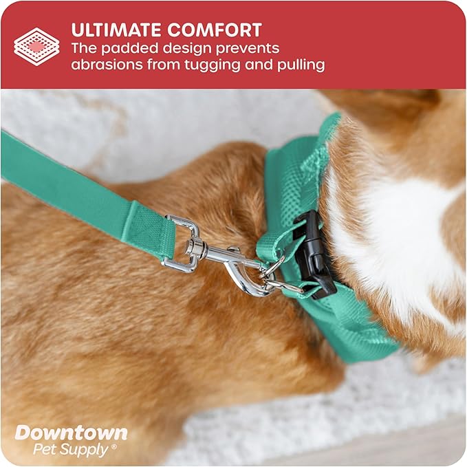 Downtown Pet Supply Step in Dog Harness for Small Dogs No Pull, Large, Bermuda Blue - Adjustable Harness with Padded Mesh Fabric and Reflective Trim - Buckle Strap Harness for Dogs