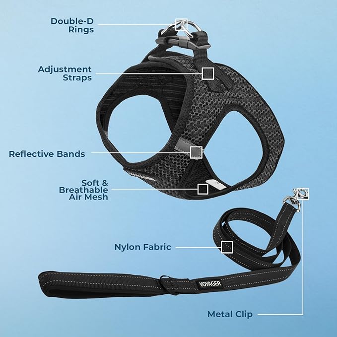 Best Pet Supplies Voyager Step-in Air All Weather Mesh Harness and Reflective Dog 5 ft Leash Combo with Neoprene Handle, for Small, Medium and Large Breed Puppies - Gray (2-Tone), M