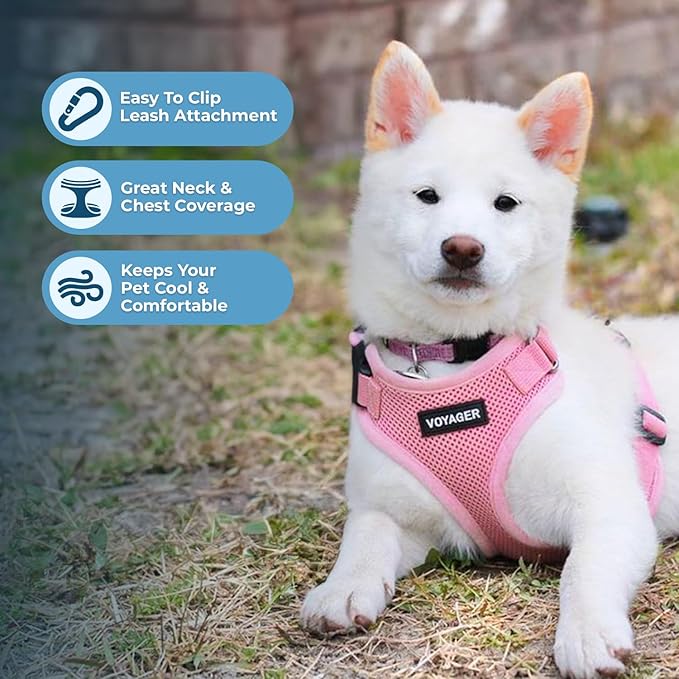Voyager Step-in Pet Harness - All Weather Mesh, Adjustable Step in Harness for Cats and Dogs by Best Pet Supplies - Pink, L