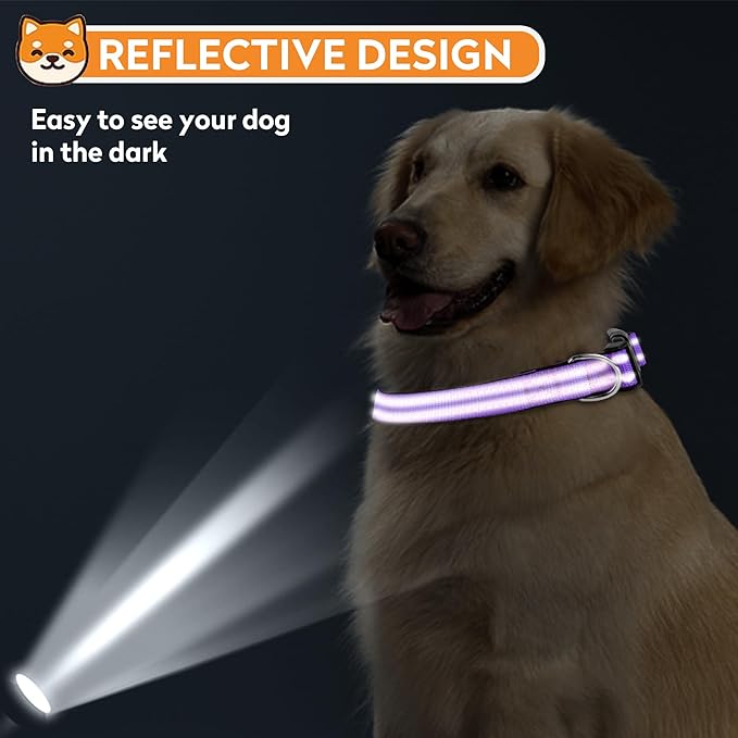 Reflective Dog Collar, Adjustable Soft Neoprene Padded Nylon Pet Collars with Buckle for Medium Dogs, Purple,M