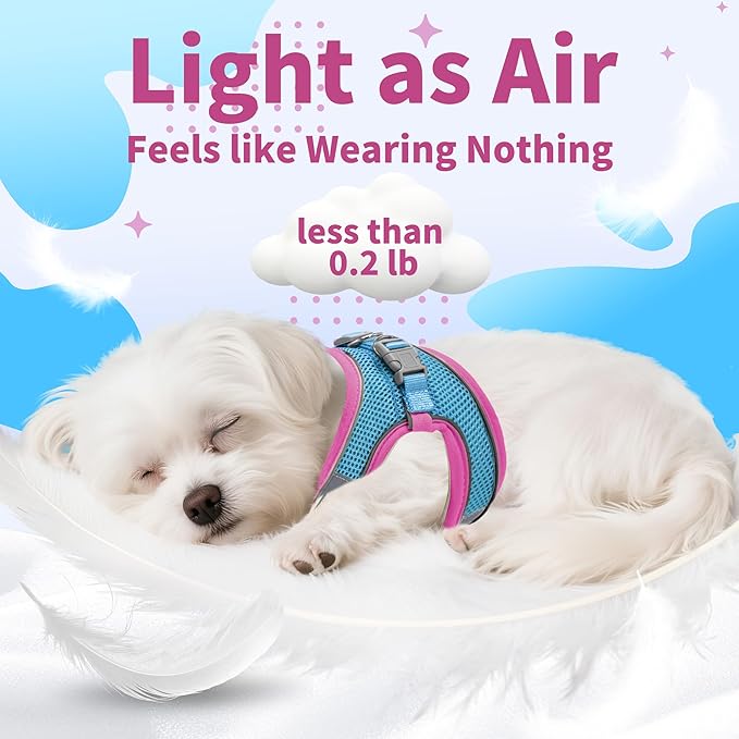 AIITLE Escape Proof Dog Harness - Step in Adjustable Dog Harness No Choke Over with Breathable Mesh and Quick-Release Buckle for All Weather- Outdoor Walking, Training for Medium Dogs Hot Pink XL