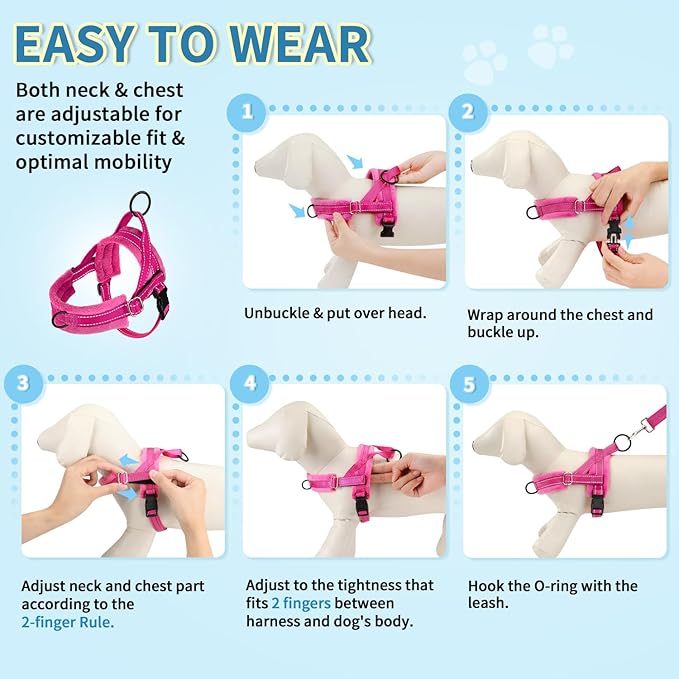 SlowTon No Pull Small Dog Harness and Leash Set, Puppy Soft Vest Harness Neck & Chest Adjustable, Reflective Lightweight Harness & Anti-Twist Pet Lead Combo for Small Medium Dogs (Fuchsia, S)