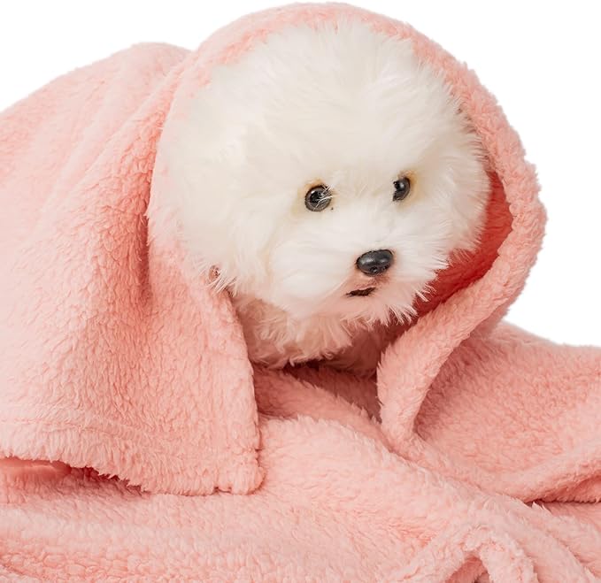 3 Blankets, Dog Cat Pet Blanket, Soft Warm Fleece, for Puppy, Small Dogs or Kitten, Cats, Plush Fuzzy Blanket for Bed, Sofa, Travel (24" x 18", 3/Pack, Lavender+Pink+Dark Pink)