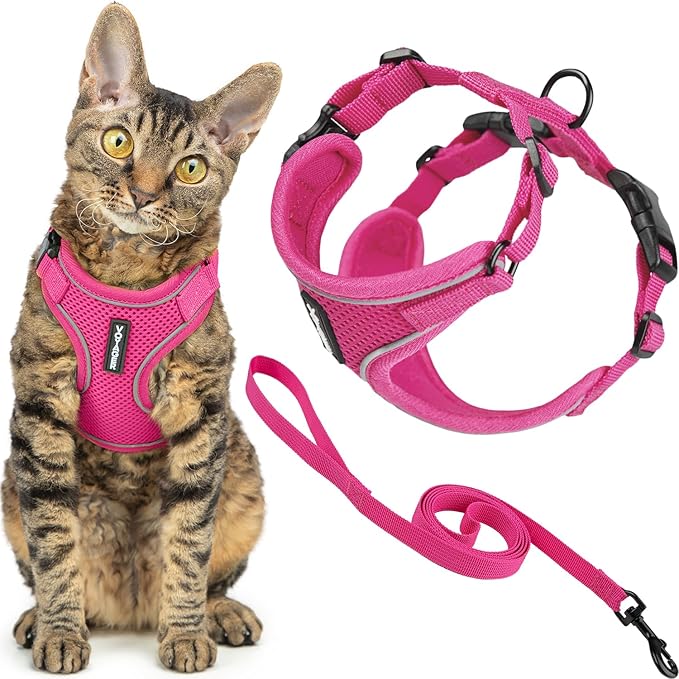 Voyager Escape-Proof Step-in Lock Cat Harness & 5ft Neoprene-Handle Leash Set All-Weather Mesh with Reflective Stitching for Small to Large Cats by Best Pet Supplies, Fuchsia (327), XS