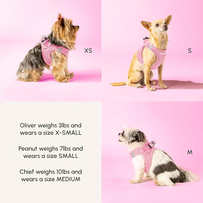 Downtown Pet Supply Step in Dog Harness for Large Dogs - Adjustable, Escape Proof Dog Harness with Reflective Trim - All-Weather, Fast-Drying Padded Mesh Fabric - Tangerine, X-Large