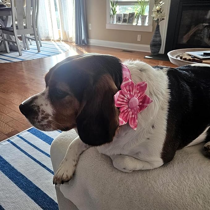 Lionheart Glory Dog Collar, Pink Dog Collar with Flower, Cute Floral Pattern Pet Collar Adjustable Pet Collar for Medium Dogs
