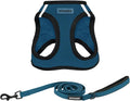 Best Pet Supplies Voyager Step-in Air All Weather Mesh Harness and Reflective Dog 5 ft Leash Combo with Neoprene Handle, for Small, Medium and Large Breed Puppies - Blue/Black Trim, X-Large