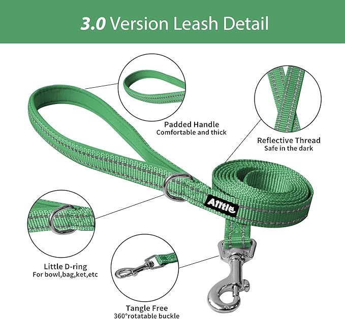 AIITLE Small Harness for Puppy with A Leash - Dog Vest Harness with Super Breathable Mesh, Reflective No-Pull Pet Harness for Outdoor Walking, Running for Small Dogs, Cats Green XXS